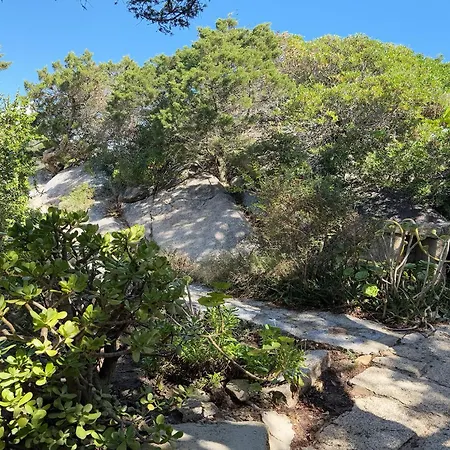 Casa Del Mare 別荘 *